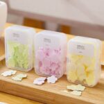 FaSoLa Mini Flower Shape Storage Box