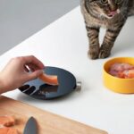 HOTO Smart Kitchen Scale