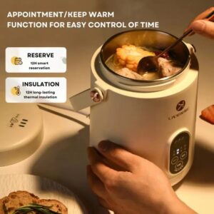 LIVEN Stainless Steel Slow Cooker DDG-D1216