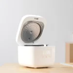 Xiaomi Mijia 1.6L Smart Rice Cooker DFB201CM