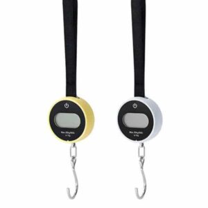 COTECi TR-043 High Precision Hand-Held Scale 30kg