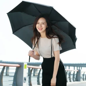 Xiaomi Pinlo Automatic Folding Umbrella PLZDS04XM