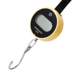 COTECi TR-043 High Precision Hand-Held Scale 30kg