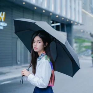 Xiaomi Mi WD1 Automatic Rainy Umbrella
